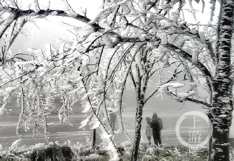 下雪了 丰都南天湖景区迎来首场雾凇美景 腾讯新闻