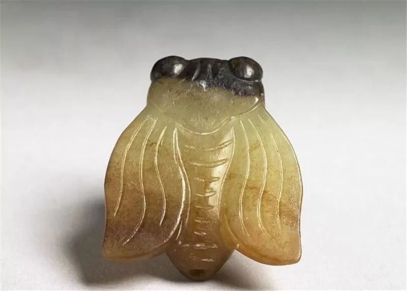 台北故宫馆藏玉蝉大赏