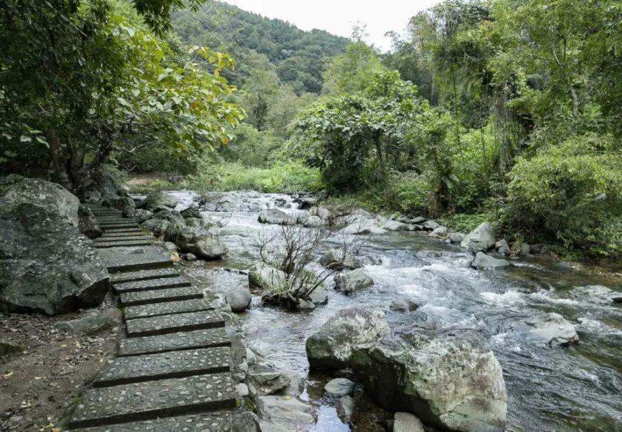 從武漢到五指山 只為尋找那神秘的黎苗文化和熱帶雨林