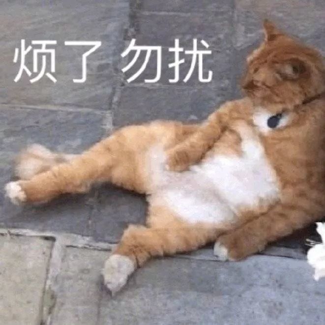 精华面霜全妆来一套要是出去玩不赶时间你看看多睡一会儿是一会儿上课
