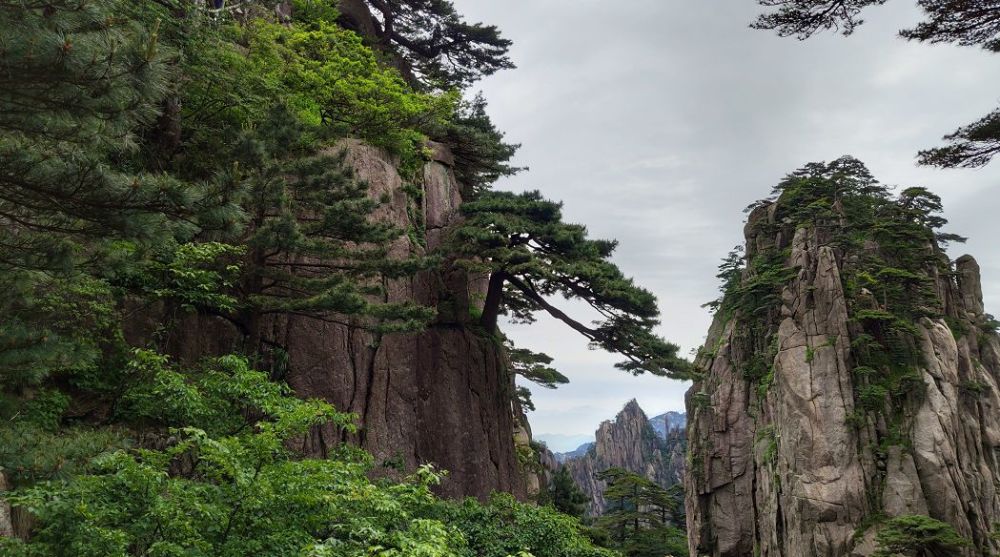 国庆去黄山景区门票多少钱？