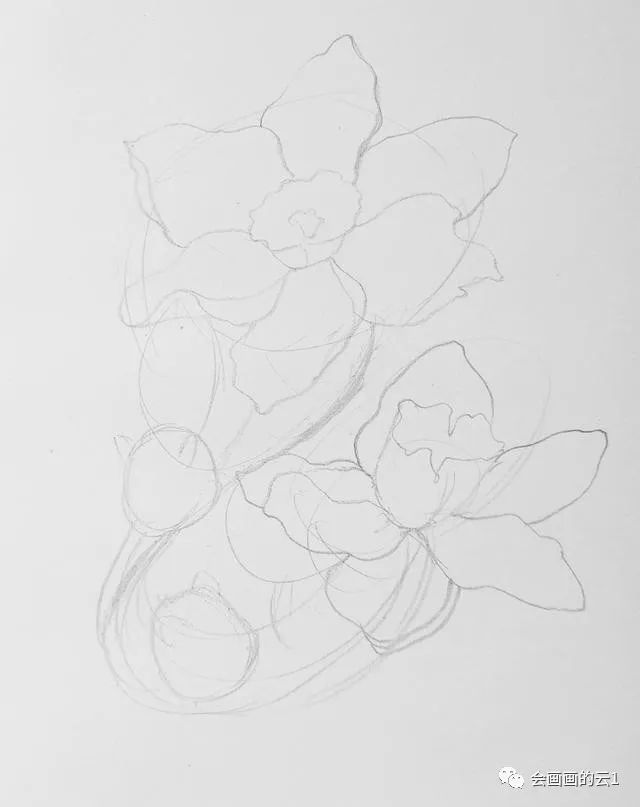 零基础教你画两朵创意水仙花 简单又好看 腾讯新闻
