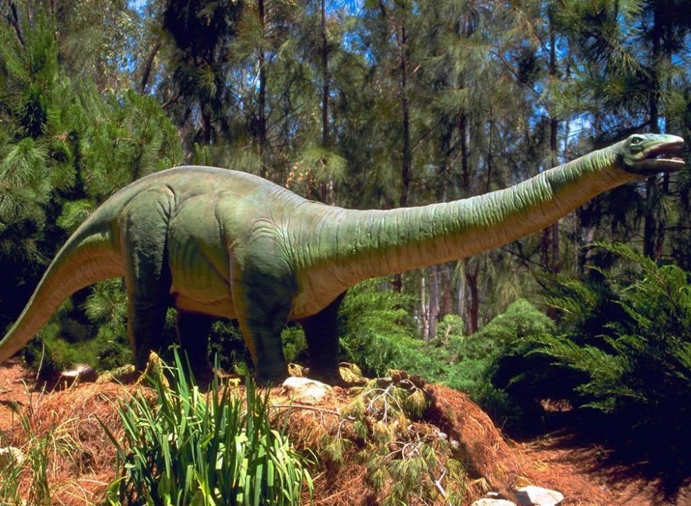 要理解为什么恐龙在今天的环境中可能不能生存,我们必须首先考虑