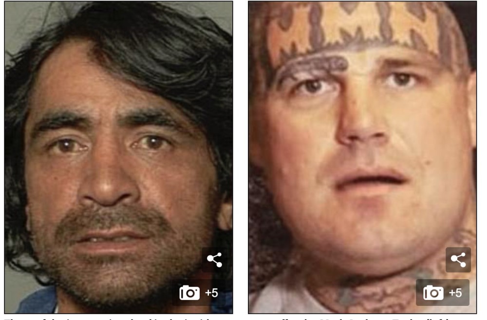 五名囚犯偷偷酿酒喝得大醉在垃圾箱里游泳 还试图刺伤女警 腾讯新闻