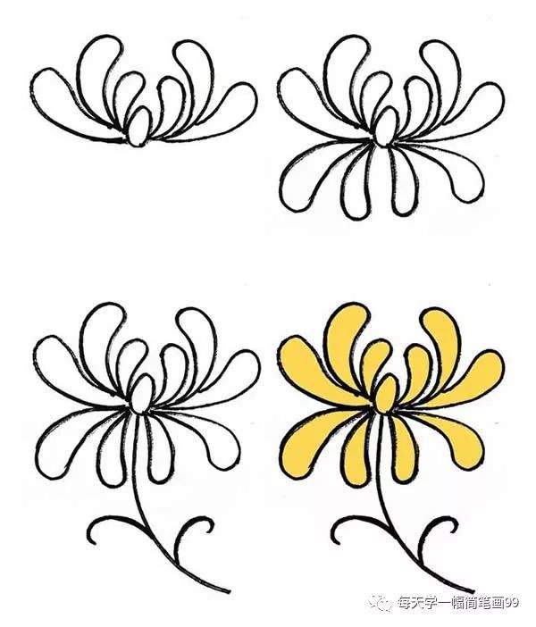 每天学一幅简笔画--一大波漂亮的花朵简笔画画法步骤