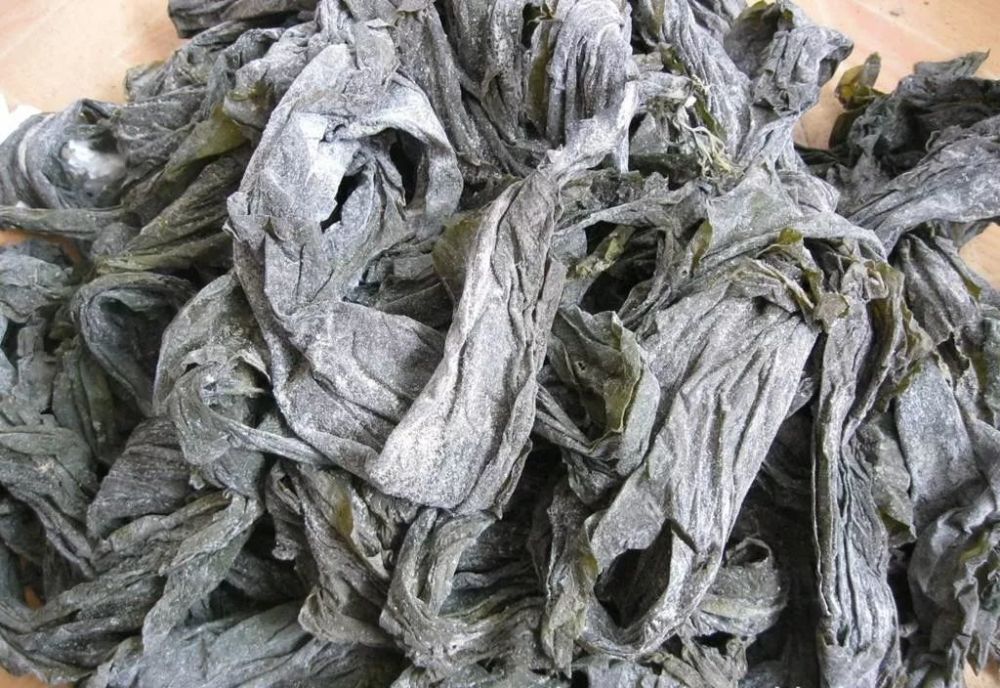 阳台上的海带皮/段顺杰