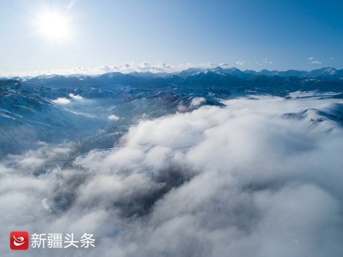 库尔德宁的冬送你一场玉树琼枝的盛宴 腾讯新闻