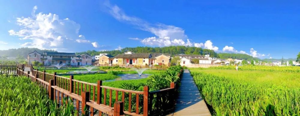 北塘乡村旅游区在张弼士故居旅游景区的后码头,还有一处竹艺长廊,休闲