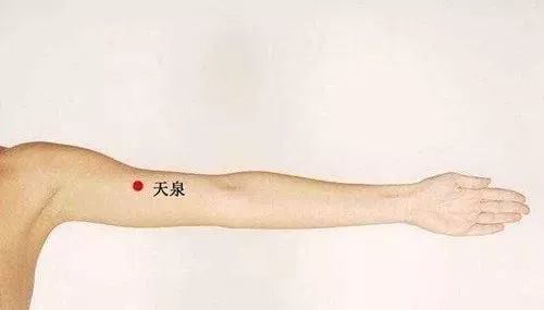 四,曲泽穴位置:肘微屈,在肘横纹中,肱二头肌的内侧缘.