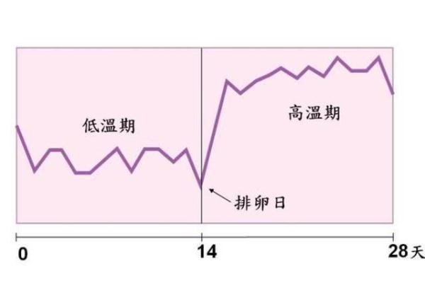 刚怀孕后有感觉吗 若你出现了以下3个感觉 可能是备孕成功了 腾讯新闻