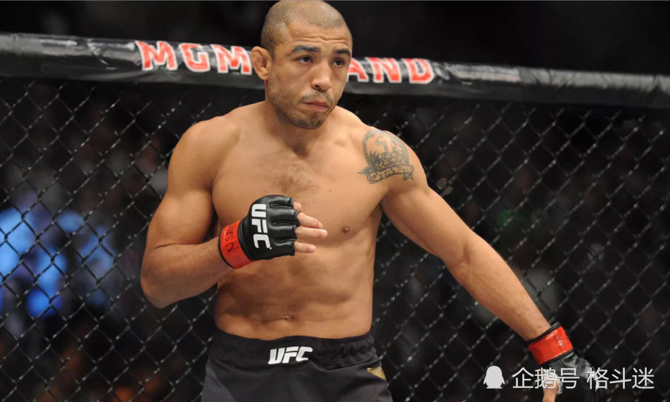 2020ufc雏量级最新排名_UFC雏量级排名第一的高手,惨遭神龙摆尾爆头!