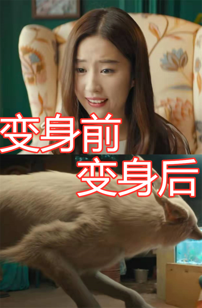 《二代妖精》变身前vs后,云局没啥,猫妖没啥,看到小白:爱了