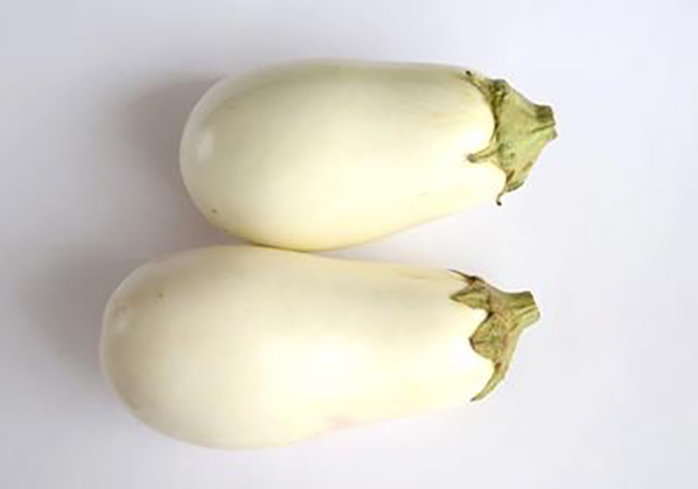 麻糬茄 胭脂茄 圆茄 哪些 茄子 品种不怕黑 腾讯新闻