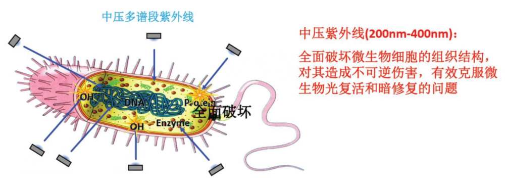地球上第一个生命是怎么从无到有出现的 腾讯新闻