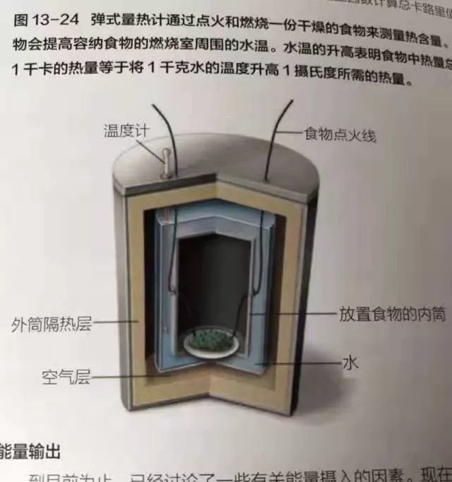 计算卡路里真的有用吗 你其实一直被蒙在鼓里 腾讯新闻