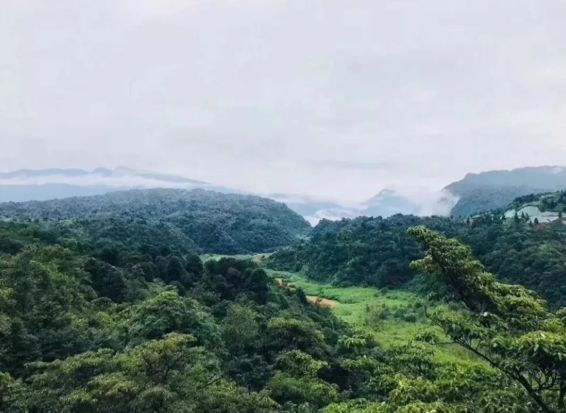 雅安海子山城市裡的世外桃源康養界的模範標杆