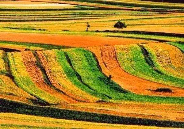 谁能把土地耕耘成画幅？看看中国！