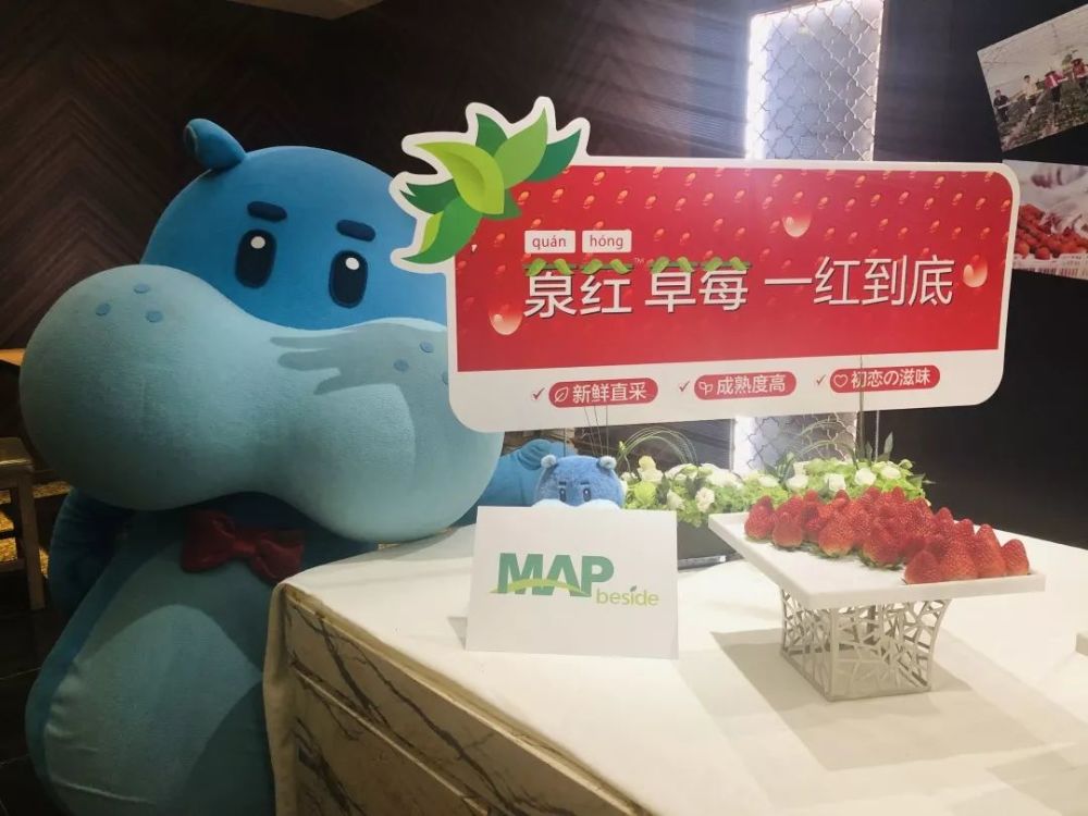 褚橙之后是草莓 这轮 草莓大战 盒马占了先手 腾讯新闻