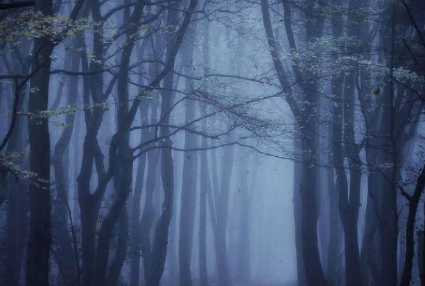 灵签占卜:哪一片迷雾会让你觉得恐慌?测你人生低谷时谁会帮到你