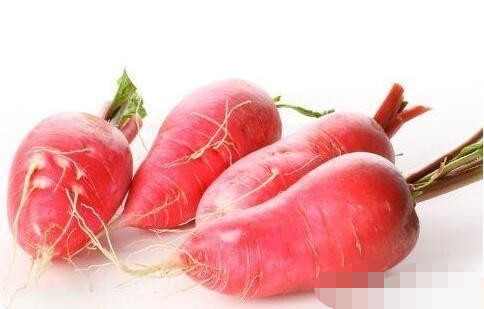 吃红皮萝卜可以降尿酸吗看完后恍然大悟