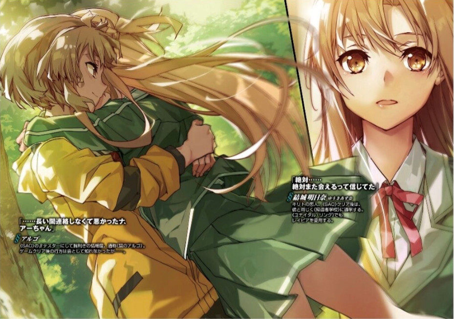 刀剑神域小说24卷发售日期公布又能看到桐人收后宫了