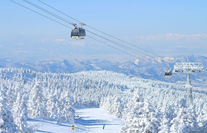 日本旅行|入选美丽日本冬季的10处绝境,这个冬季来日本不能错过