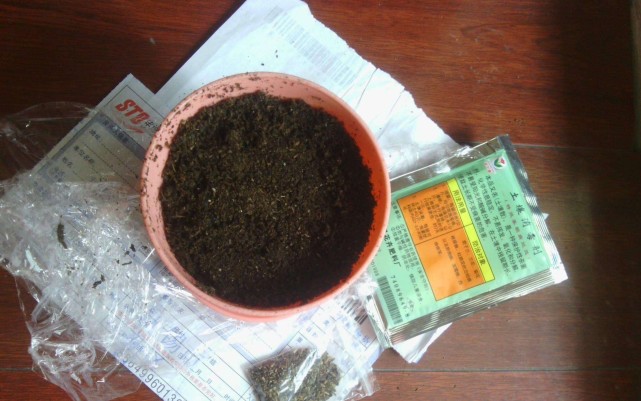 盆栽泥土有虫怎么办 4个 小方法 彻底消灭 花疯长 健康茂盛 花盆 盆栽植物 盆土