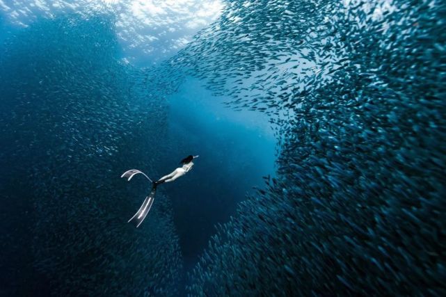 脱下外套,带着相机鱼跃其中,享受着穿梭的自由.