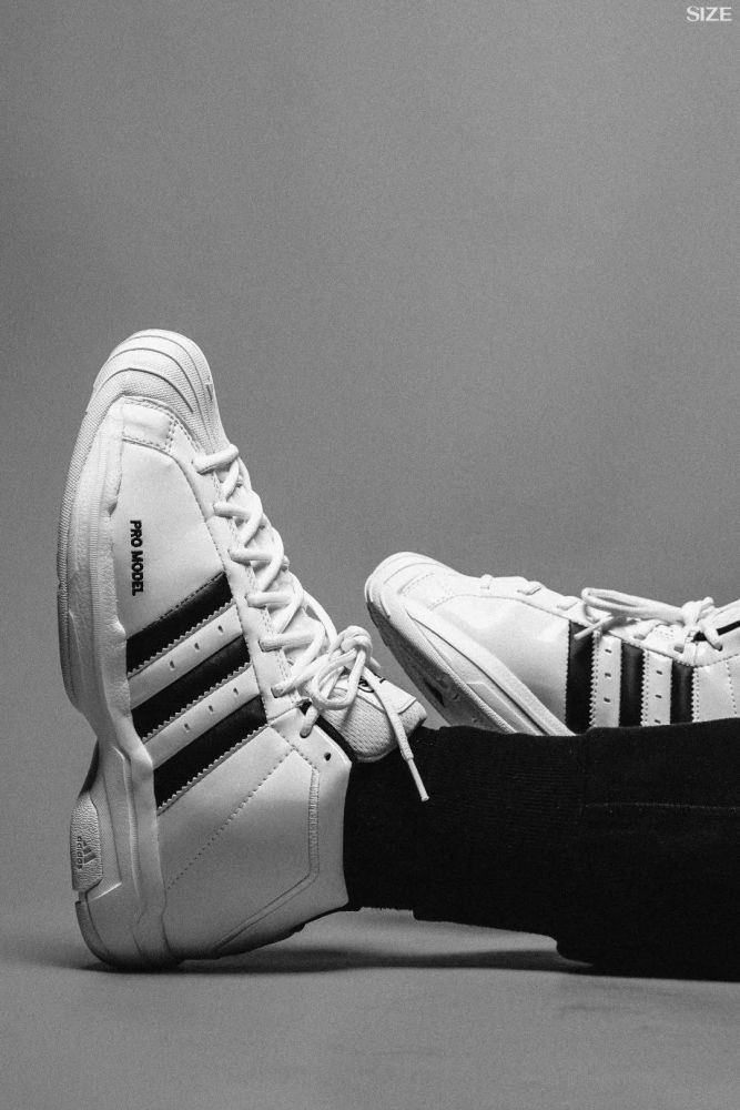 promodel2g的回归有必要吗