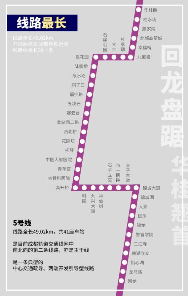 紫霞仙子来啦是什么让小5惊艳四方
