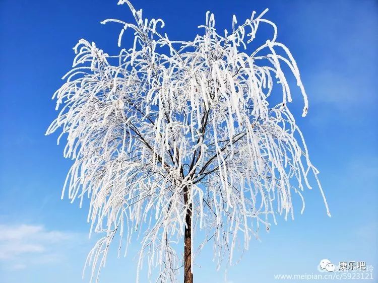 雪后 在康乐大山里拍到的一组照片 惊艳你的眼球 腾讯新闻