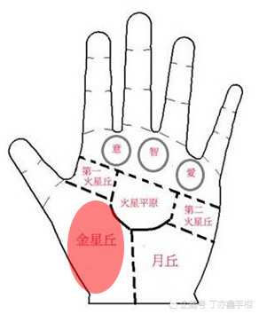 从手相火星平原看运势 腾讯新闻