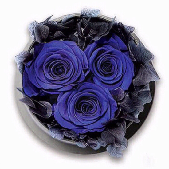 心理测试选一束你最喜欢的蓝色妖姬测你和暗恋的人何时相遇