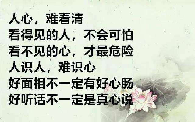 敢情好是什么意思 腾讯网