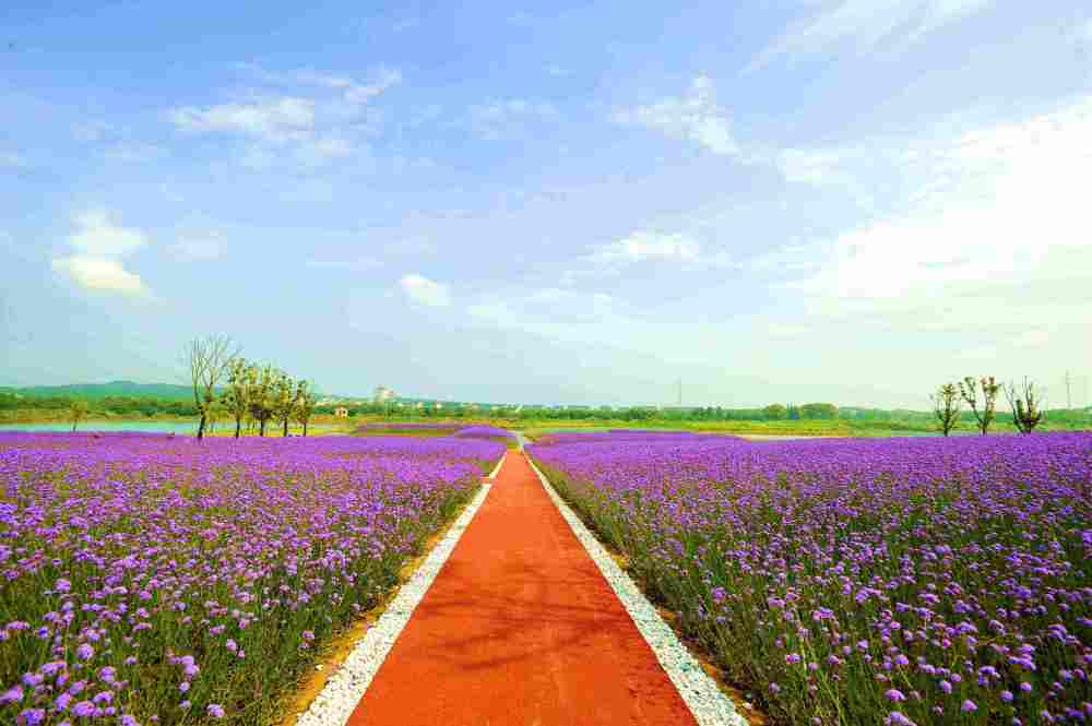 苏州这些小众景点才是游玩的精华所在