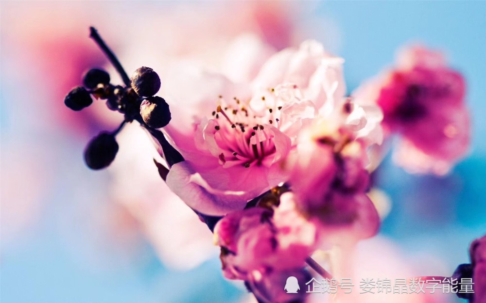 娄锦晶数字易经 天医磁场案例分析 腾讯新闻