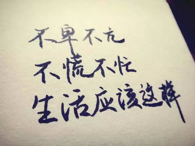 不卑不亢不慌不忙,生活应该这样