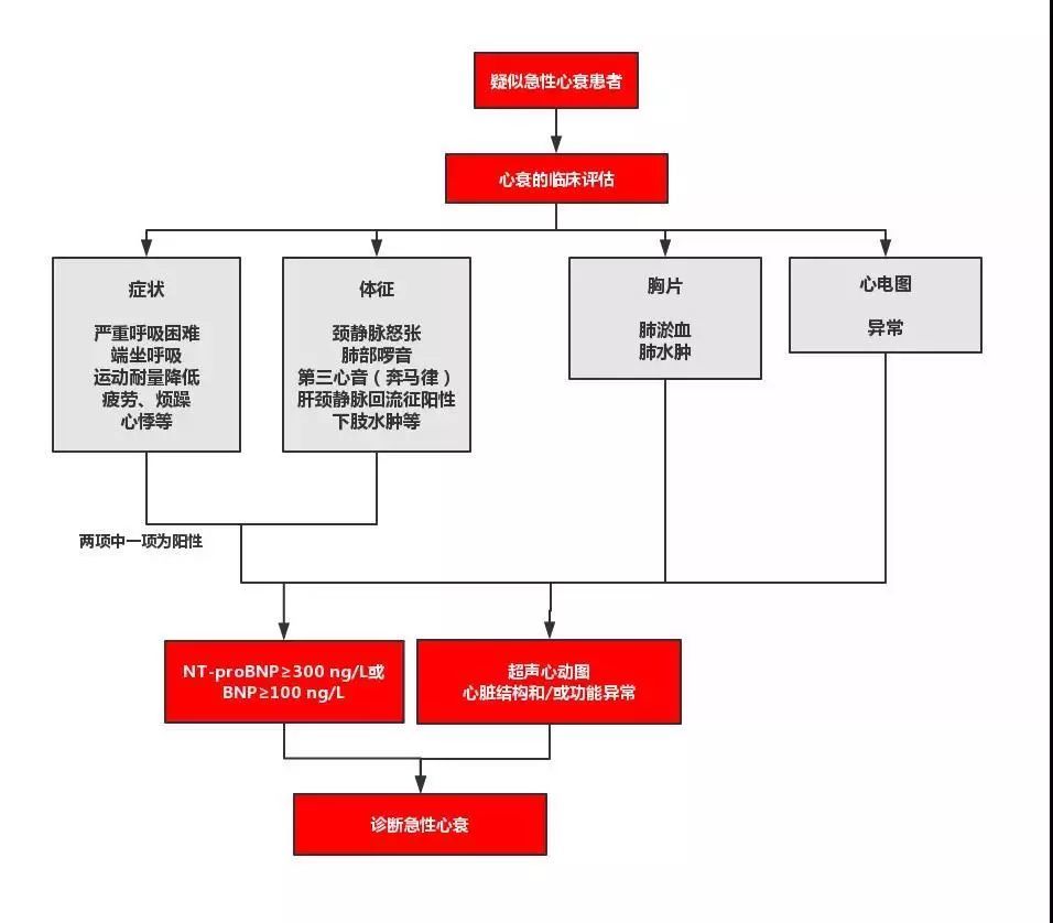 其中15~20%为新发心衰,大部分则为原有慢性心衰的02 诊断与病情评估