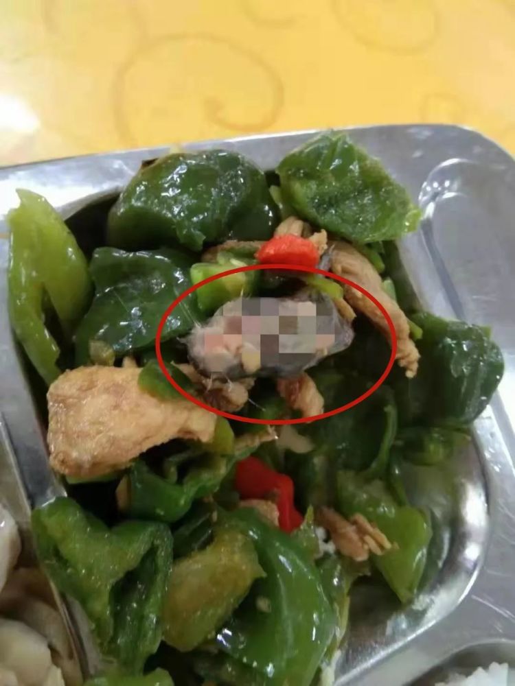 太惊悚!淮安家长曝学校食堂吃出死老鼠 学校回应