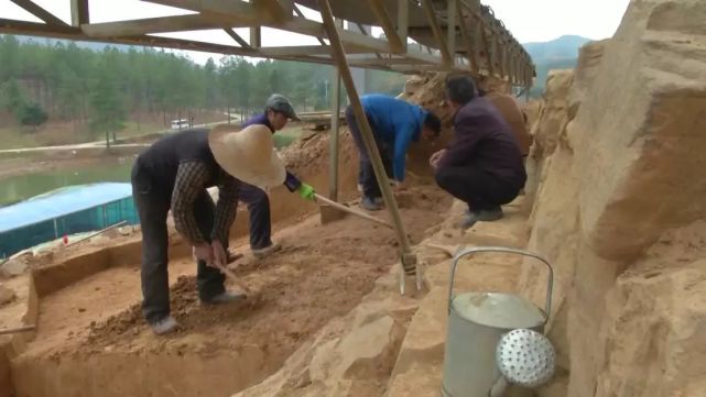 八亩墩大墓再掀面纱:绿松石等出土文物已提取