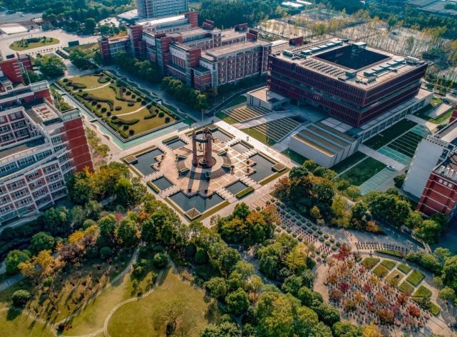 大学了,你该怎么做