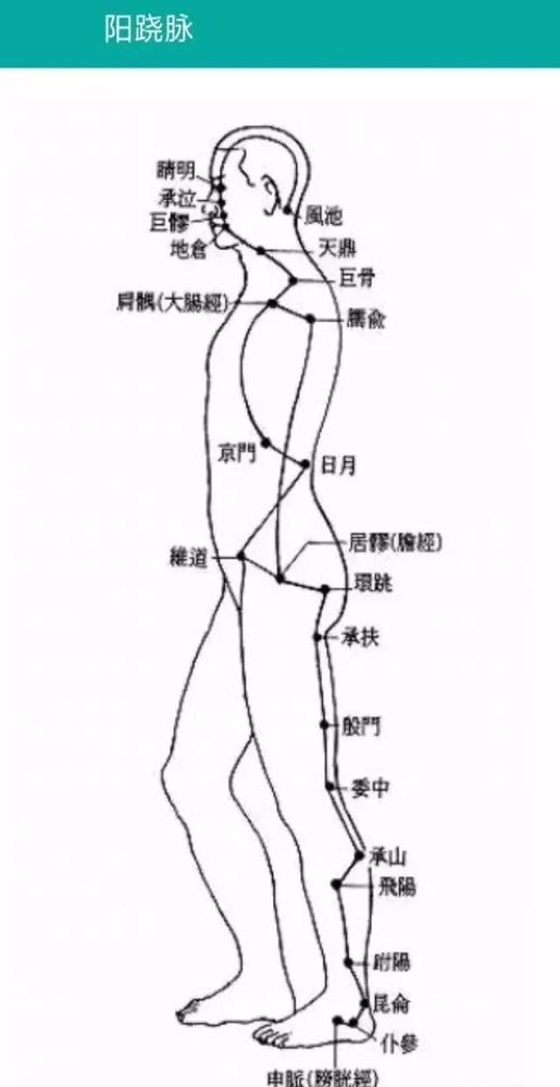 奇经八脉中以任脉 督脉的穴位运用最广 腾讯新闻