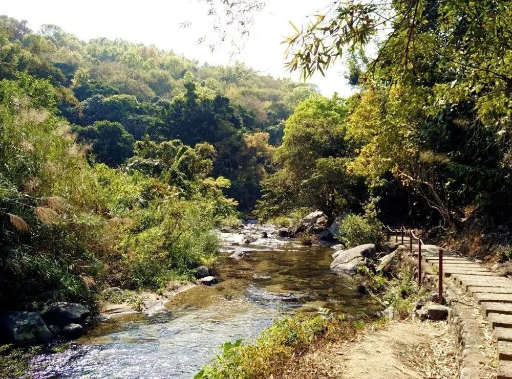 海南山林图片