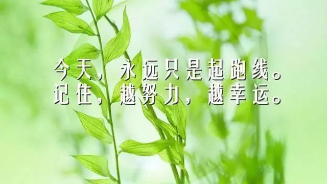 適合發朋友圈感悟人生一段話 人生感悟的哲理句子