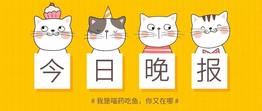 湿鼻子的猫就是健康猫 猫鼻子的秘密你知道多少 腾讯新闻