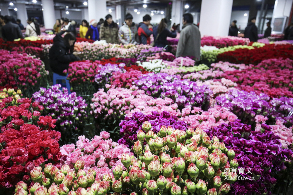 中国最大鲜花交易市场里鲜花论斤卖这是云南十八怪之一