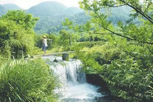 看三星文化礼堂如何诠释移风易俗?