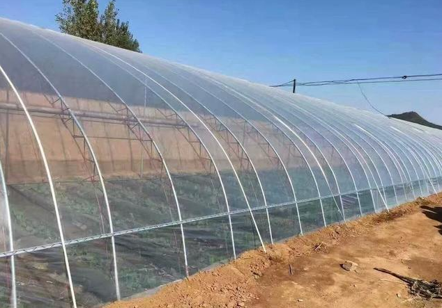 秋天大风天气多,尘土飞扬,对棚膜透光性的影响很大.