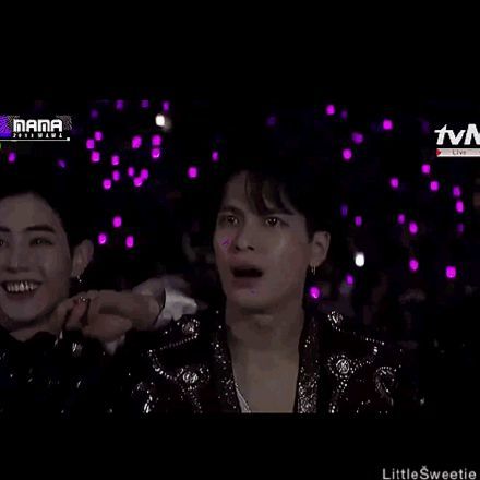 朴振英认领王嘉尔表情