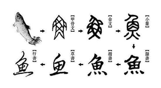 汉字冷知识 甲骨文是汉字的起源 太平天国促进了汉字的简化 腾讯新闻